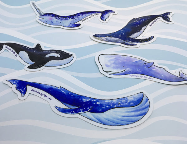 Sperm Whale Sticker ST811