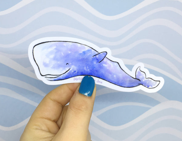 Sperm Whale Sticker ST811