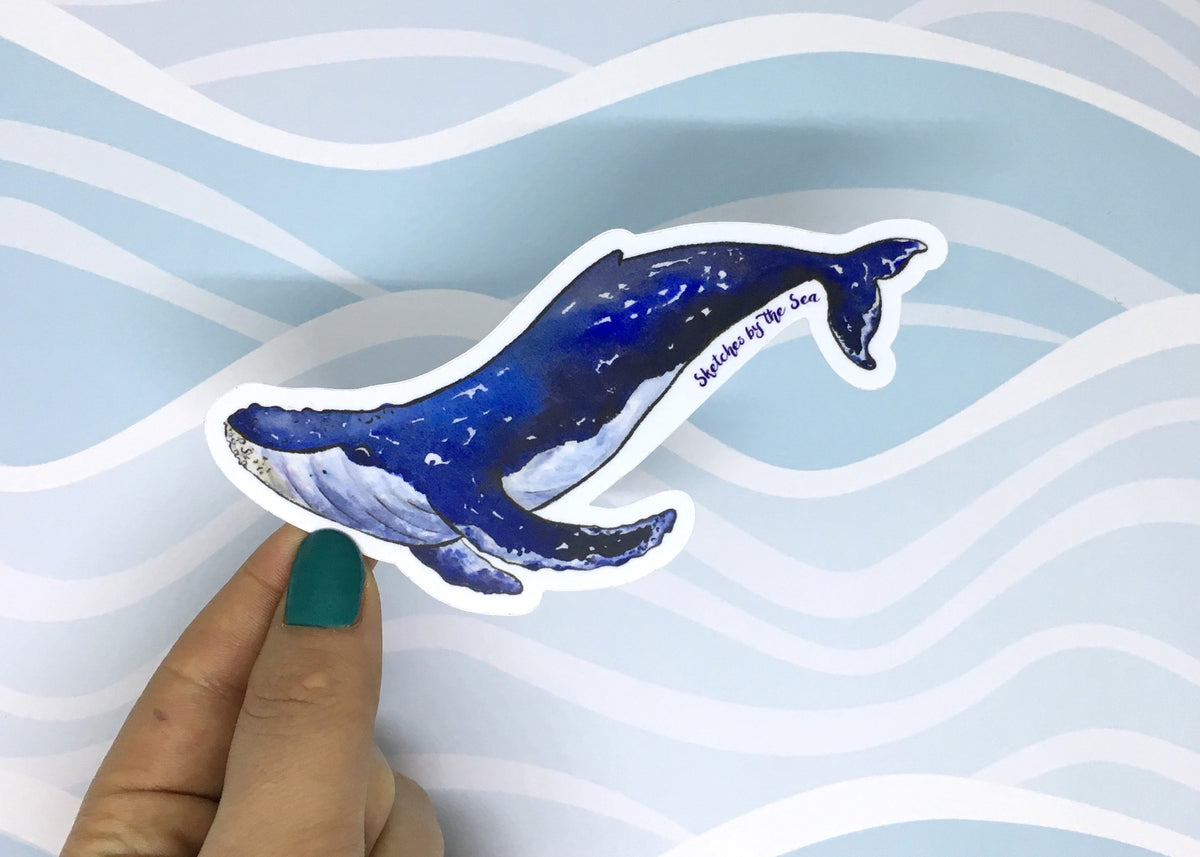 thumbnail image 2 of Steam Humpback Whale Clear Vnyl Stcker – Artoft 2 of 11