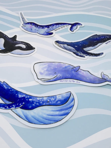Humpback Whale Sticker ST813