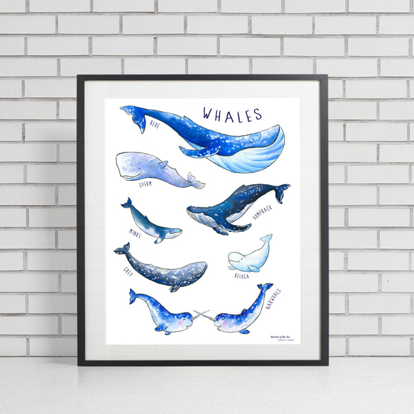 Whale Poster, Whimsical Wall Art – Sketches By The Sea